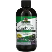 Nature's Answer, Sambucus sin alcohol, 2500mg, 240ml